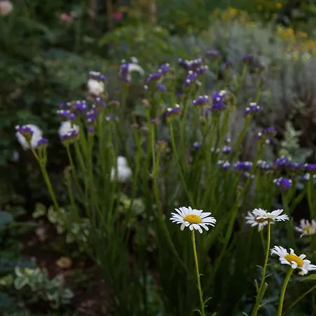 Dubravka Gæstehus 3*