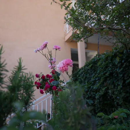 招待所 杜布拉夫卡别墅 3*