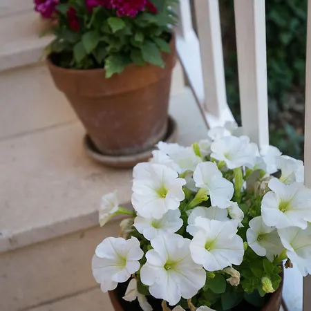 杜布拉夫卡别墅