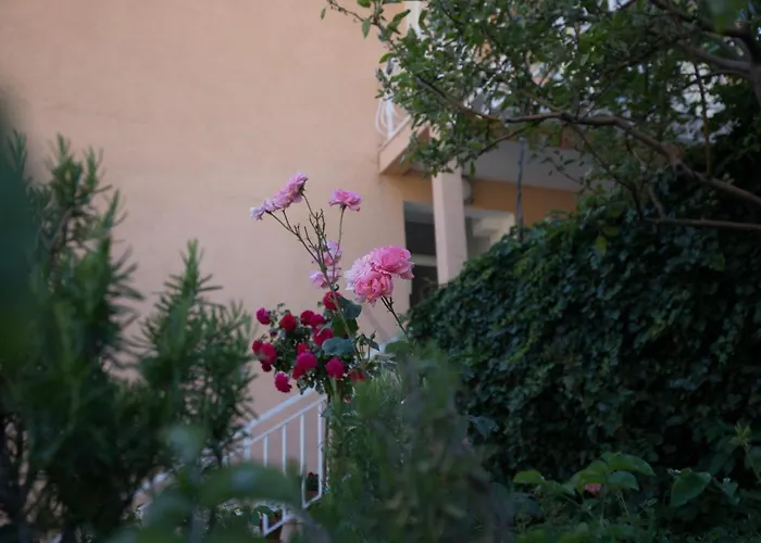 Affittacamere Dubravka 3*