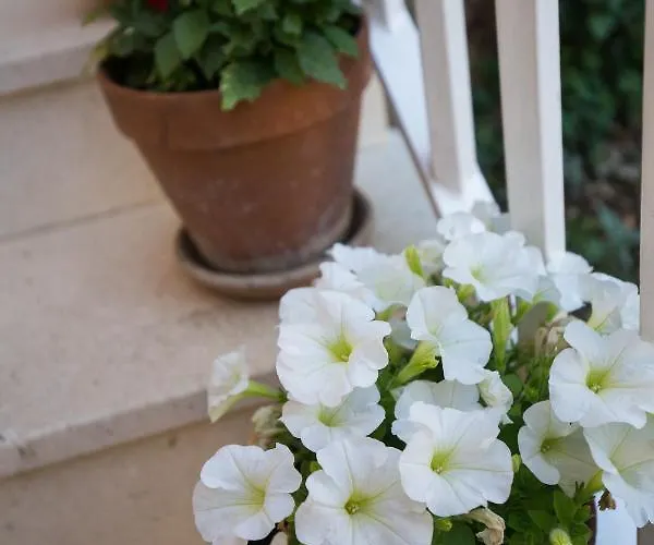 Affittacamere Dubravka