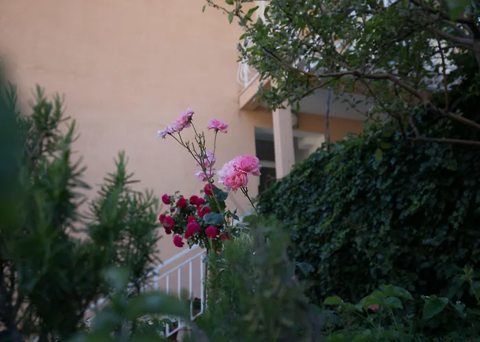 Affittacamere Dubravka 3*